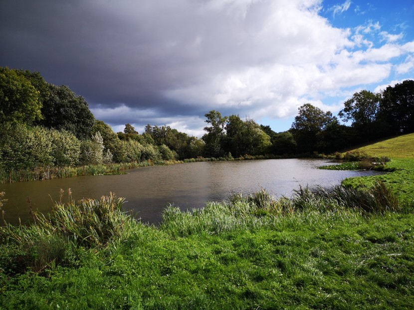 Forest pool and rain threatens